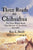 Three Roads to Chihuahua: The Great Wagon Roads That Opened the Southwest, 1823-1883