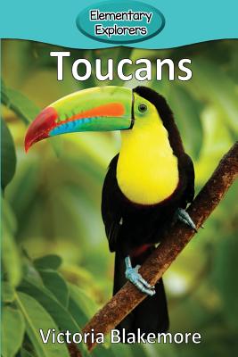 Toucans