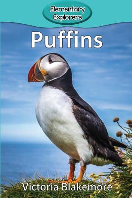 Puffins