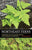 Northeast Ferns: A Field Guide to the Ferns and Fern Relatives of the Northeastern United States