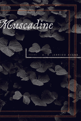 Muscadine