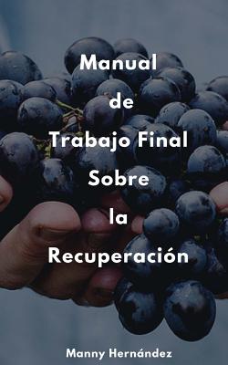 Manual de Trabajo Final: Sobre la Recuperación