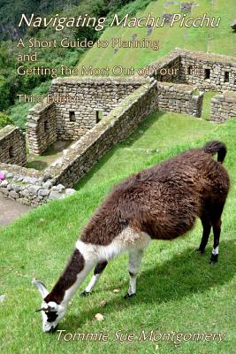 Navigating Machu Picchu: A Short Guide to Planning and Getting the Most Out of Your Trip