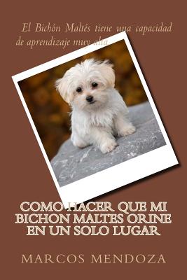 Como Hacer que Mi Bichon Maltes Orine en un Solo Lugar