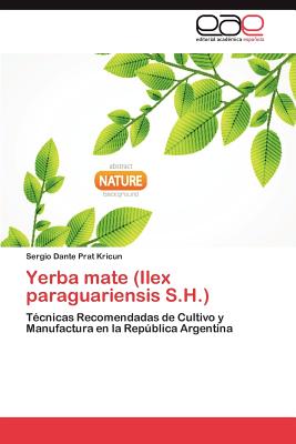 Yerba Mate (Ilex Paraguariensis S.H.)