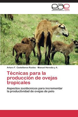 Técnicas para la producción de ovejas tropicales