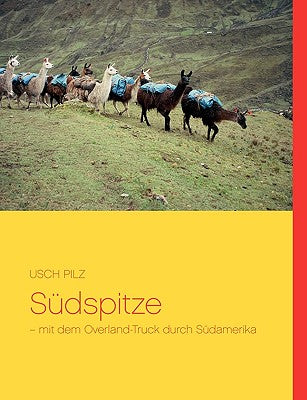 Südspitze: - mit dem Overland-Truck durch Südamerika