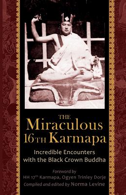 The Miraculous 16th Karmapa