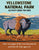 Yellowstone National Park Activity Book for Kids 3-6