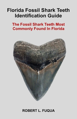 Florida Fossil Shark Teeth Identification Guide: The Fossil Shark Teeth Most Commonly Found In Florida