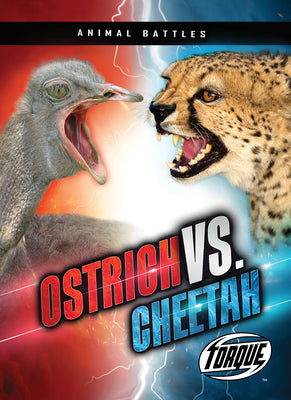 Ostrich vs. Cheetah – Unimart.com