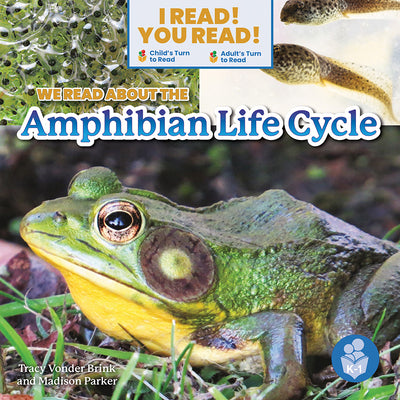 We Read about the Amphibian Life Cycle