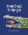 From Tears to the Sea: Children's Rhyming Picture Book (Ages 0-8), Teacher Recommended, Early Education About Water, Nature, and Wildlife, Co