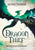 The Skystone Chronicles Book 1: Dragon Thief