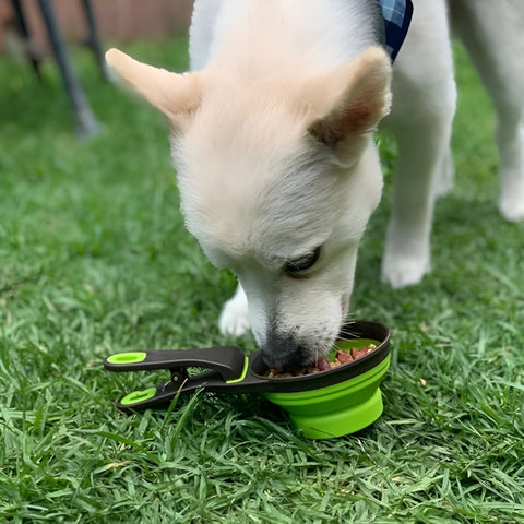 Miomu Taza Medidora para Alimentos de Mascotas, Diseño 3 en 1