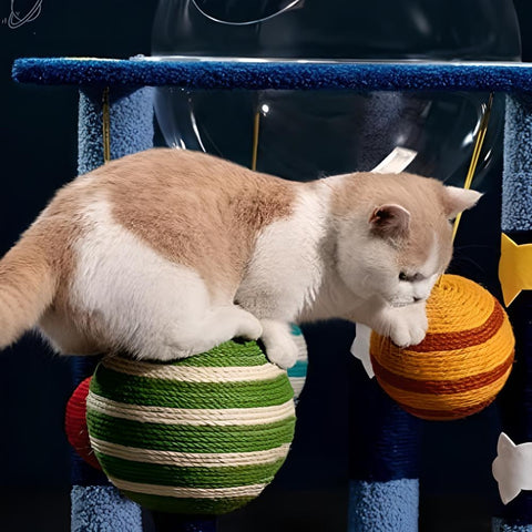 Miomu Cama Rascador para Gatos, Diseño Espacial