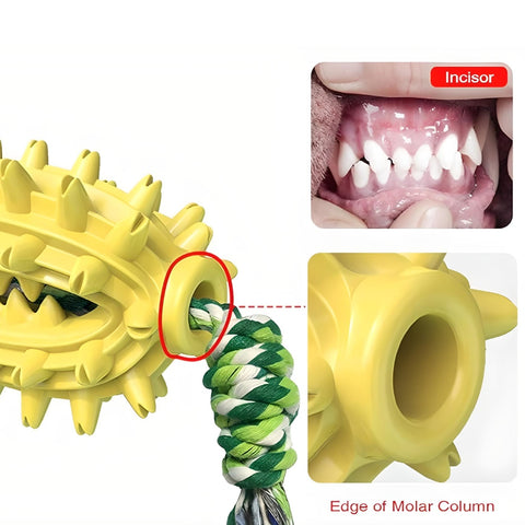 Miomu Juguete Masticable Cepillo de Dientes para Mascotas, Diseño Cactus