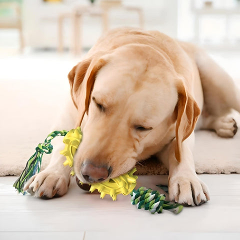 Miomu Juguete Masticable Cepillo de Dientes para Mascotas, Diseño Cactus