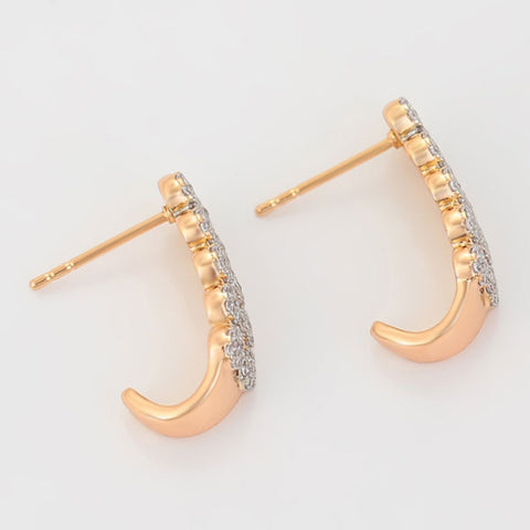 CR Charms Aretes Elegancia Luminosa, Alloy