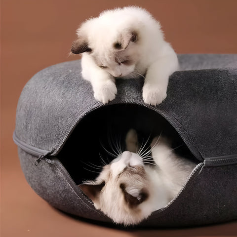 Miomu Cama Desarmable para Gato, Diseño Túnel