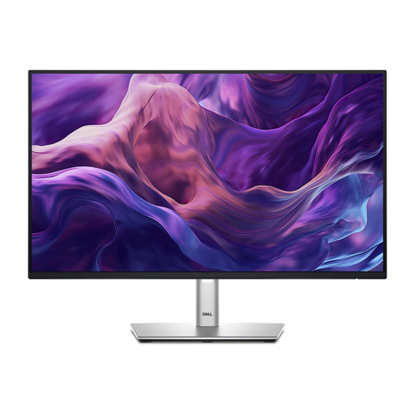 Dell Monitor 24