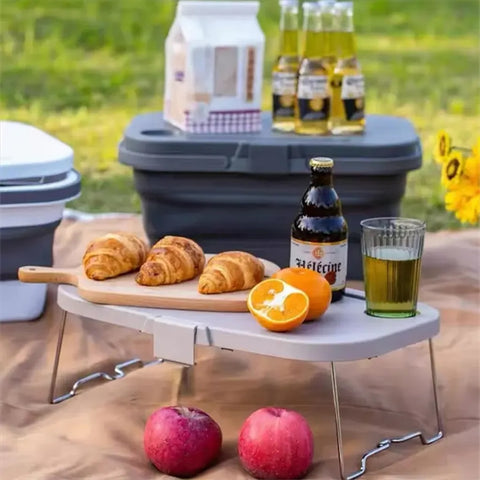 La Gotera Cesta Hielera Plegable para Picnic