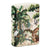 Zippo Encendedor Jungle, White