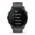 Garmin Smartwatch Forerunner 255