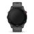 Garmin Smartwatch Forerunner 255