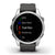 Garmin Smartwatch Fenix 7S, Standard Edition