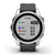 Garmin Smartwatch Fenix 7S, Standard Edition