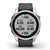 Garmin Smartwatch Fenix 7S, Standard Edition