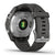 Garmin Smartwatch Fenix 7S, Standard Edition