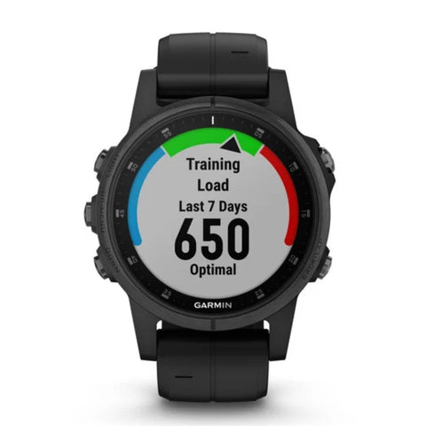 Garmin Smartwatch Fenix 5S Plus Sapphire Edition, 42mm