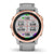 Garmin Smartwatch Fenix 6s Pro Sapphire Edition, 42mm