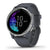 Garmin Smartwatch Venu