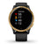 Garmin Smartwatch Venu