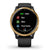 Garmin Smartwatch Venu