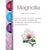 Nano Esencia Magnolia, 10ml