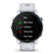 Garmin Smartwatch Forerunner 255 Music