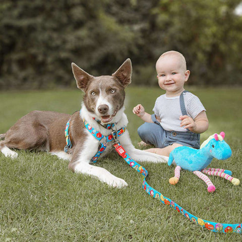 Max & Molly Arnés para Perro, Little Monsters