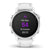 Garmin Smartwatch Fenix 6S, 42mm