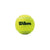 Wilson Set de Bolas de Tenis Champions Ship, 3 Piezas