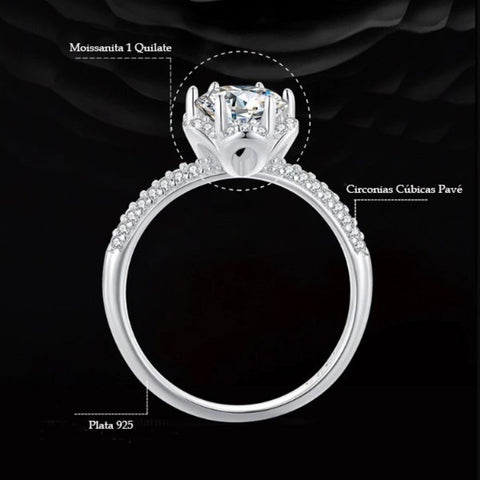 CR Charms Anillo de Compromiso Destino Perfecto