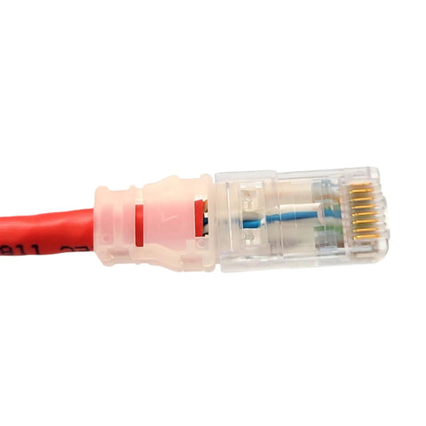 Ortronics Cable de Red UTP Cat6 0.91 Mts (MC603-02)