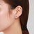 CR Charms Aretes Hojas Luminosas