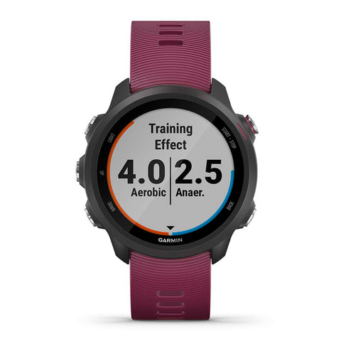 Garmin Smartwatch Forerunner 245