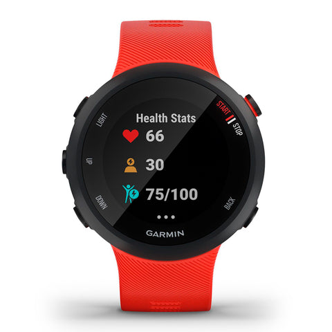 Garmin Smartwatch Forerunner 45