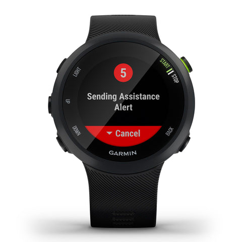 Garmin Smartwatch Forerunner 45