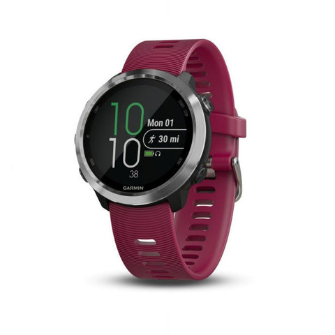 Garmin Smartwatch Forerunner 645 Music